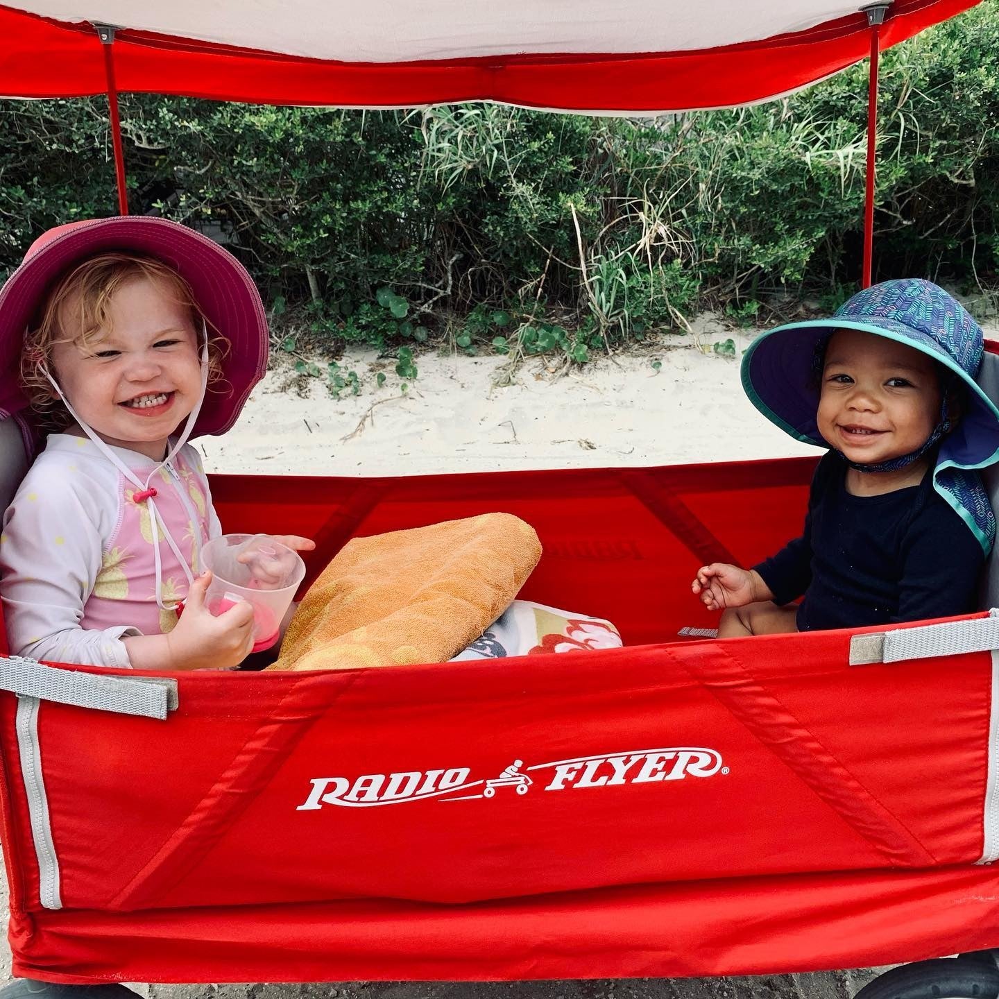 Beach wagon for toddlers online