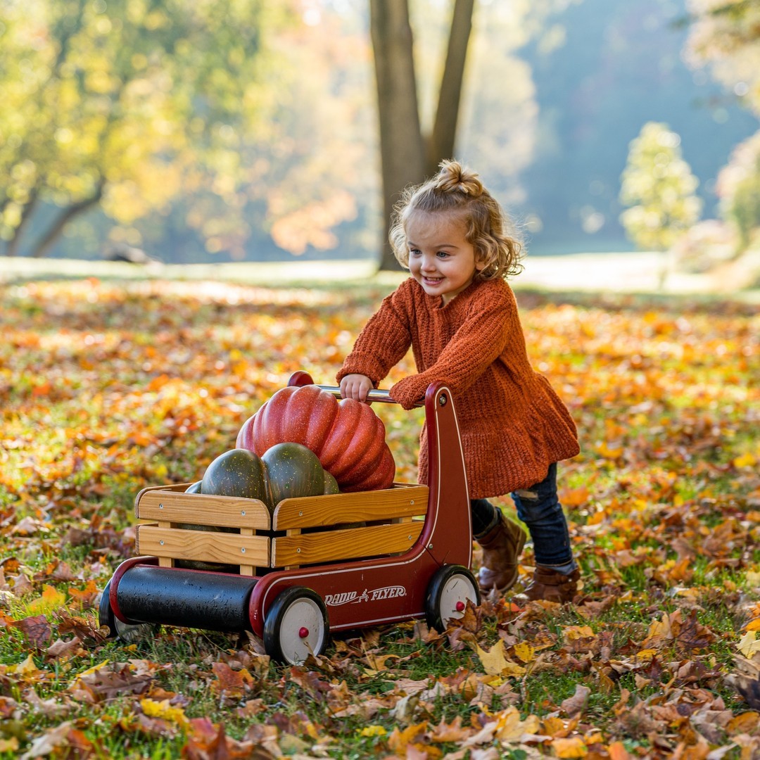 11 Fall Crafts for Kids & Toddlers