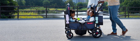 Voya™ Stroller Wagons