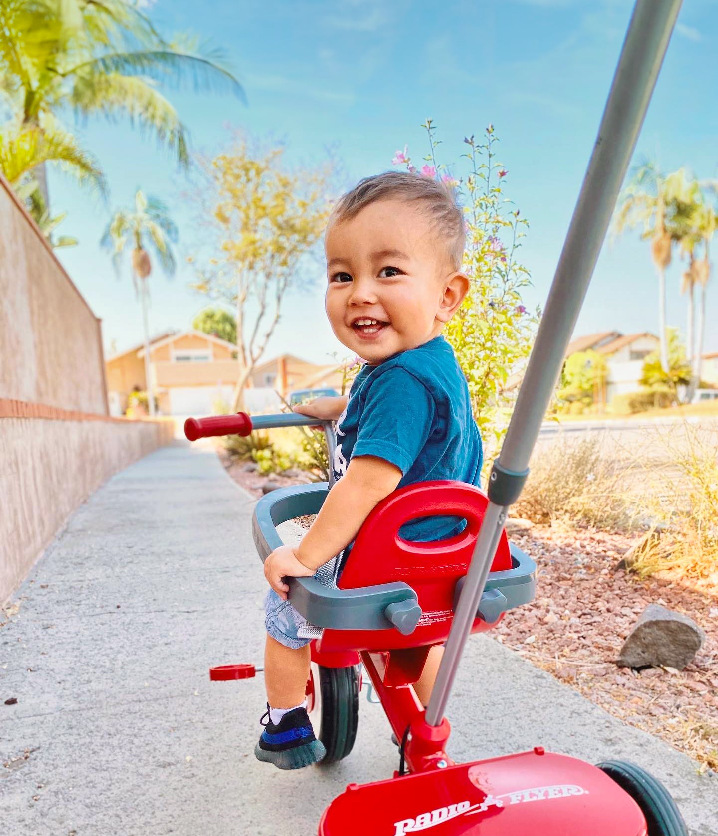 Little red wagon tricycle on sale